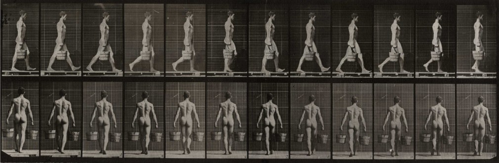 Eadweard Muybridge Plate 29