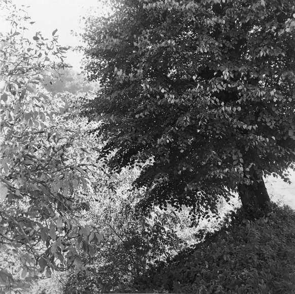 Ray Metzker Sojourn, France, 1989