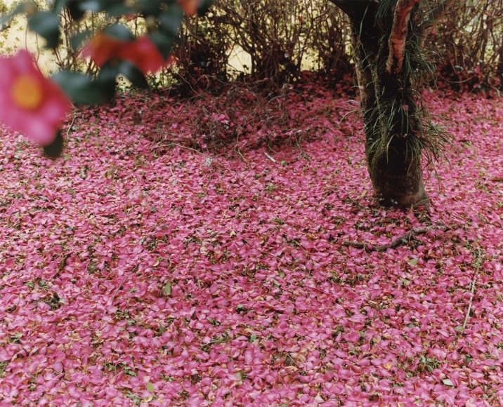 Yoko Ikeda, Misato Town, Kunamoto Prefecture, 2011