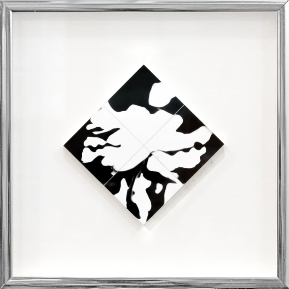 Black and white photographic abstraction of high contrast biomorphic forms.