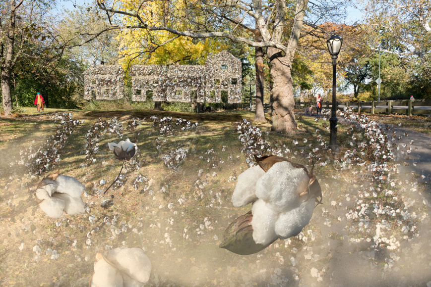 John dowell Williams and Neighbors