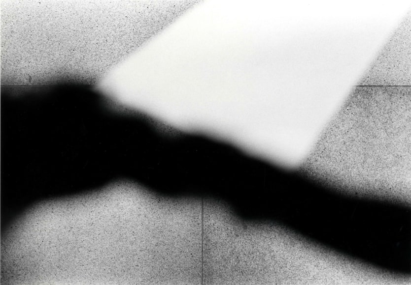 Ray K. Metzker - Pictus Interruptus - Exhibitions - Laurence Miller Gallery