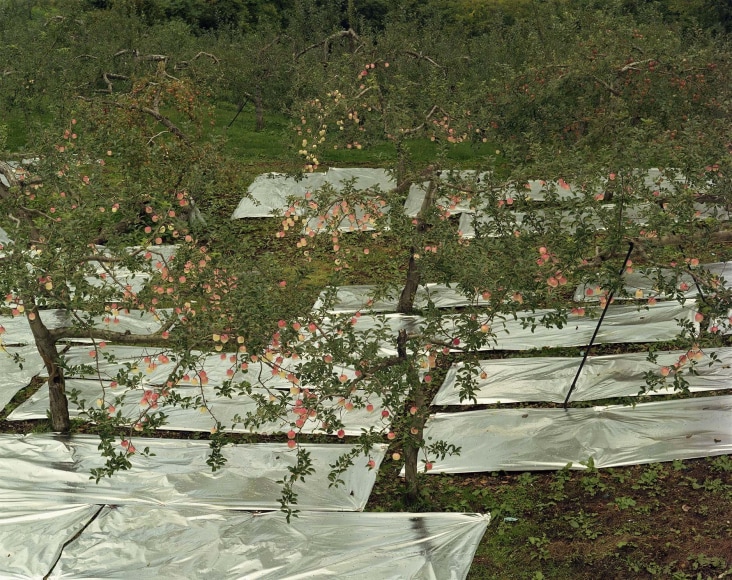 Toshio Shibata Owani town, Aomori Prefecture, 2006