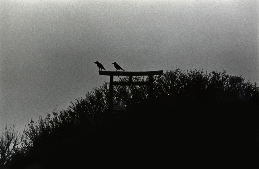 Masahisa Fukase Sakotan Peninsula, 1977