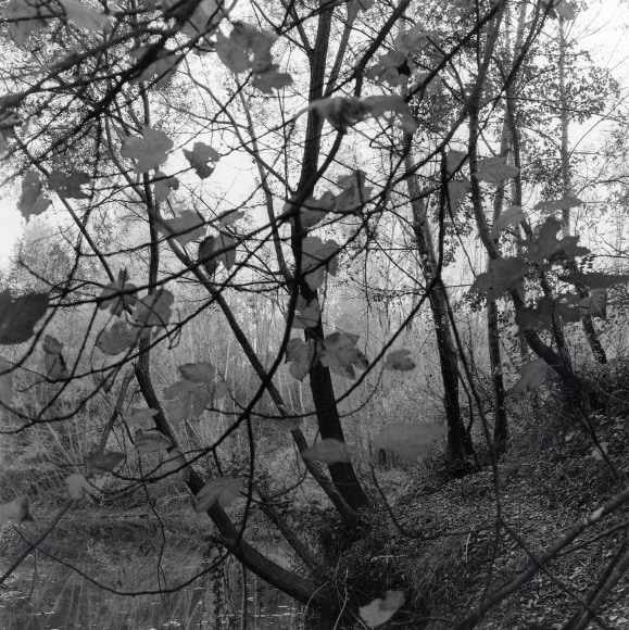 Ray Metzker Sojoun, France, 1989