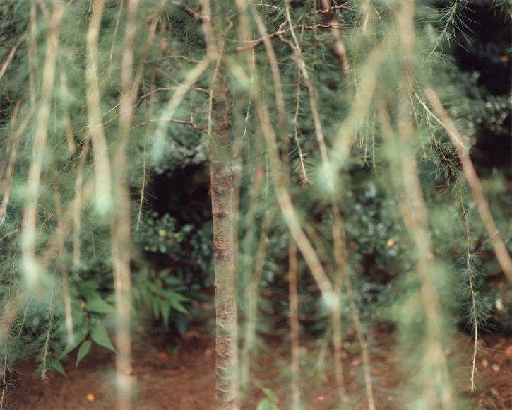 Yoko Ikeda, Minato Ward, Tokyo, 2012