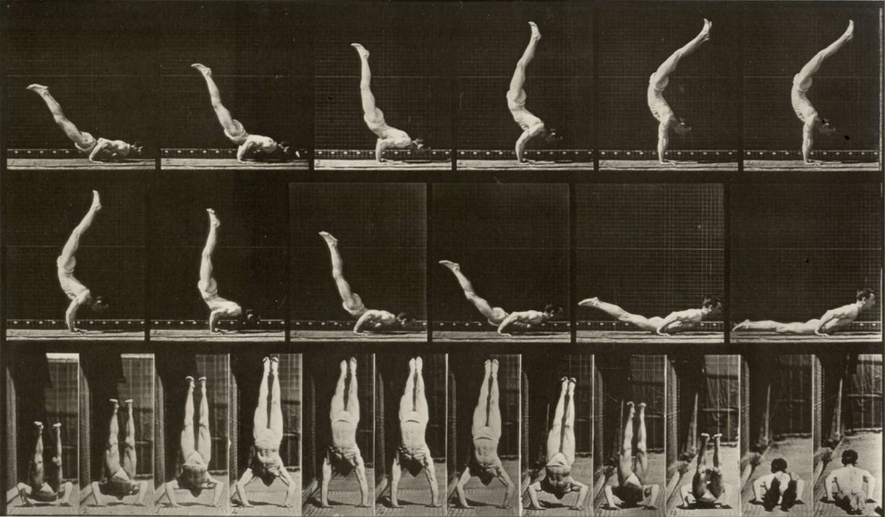 Eadweard Muybridge Plate 372