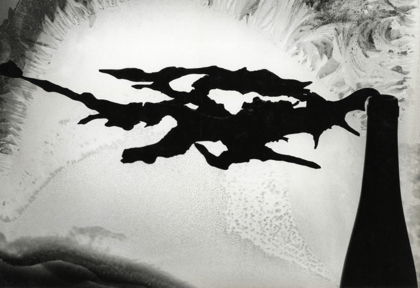 Minor White, Root and Frost, 1958