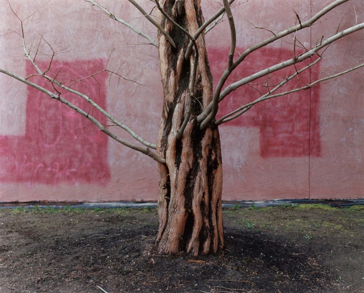 Yoko Ikeda, Salem, MA, 2013