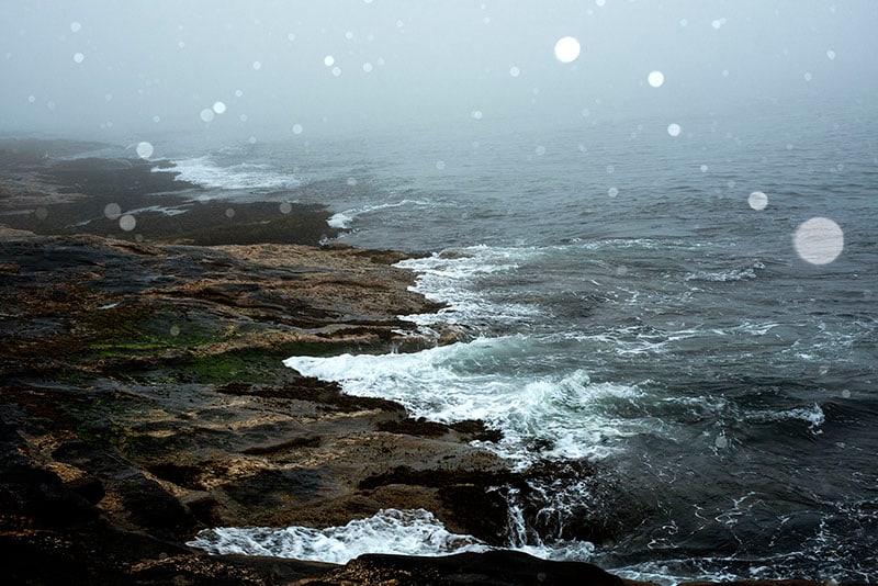 The Sky Inside XX, 2013