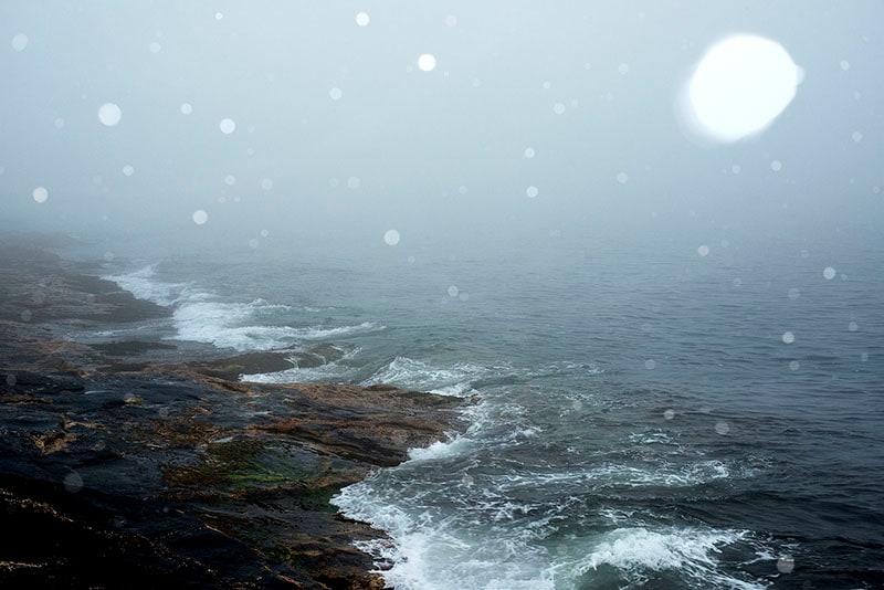 DoDo Jin Ming Sky Inside XXI