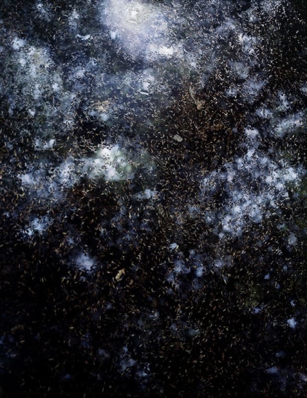 The Sky Inside XVII, 2010