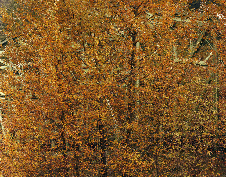 Toshio Shibata, Clackamas County, OR, 2004