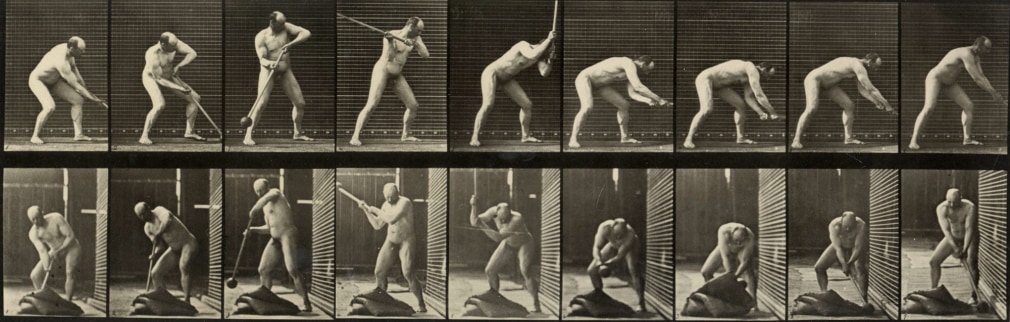 Eadweard Muybridge Plate 396