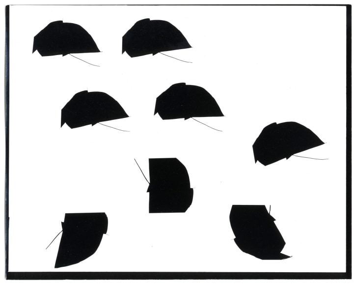 Ray Metzker 1969