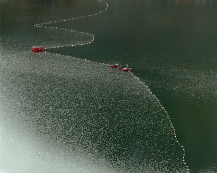 Toshio Shibata,Chichibu City, Saitama Prefecture, 2006