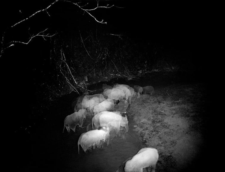 The Sky Inside VI, 2000