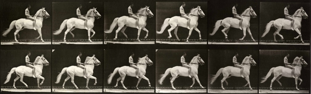 Eadweard Muybridge Plate 590