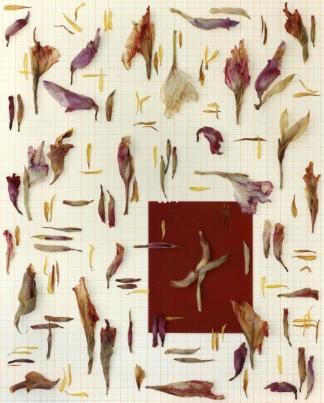 Bruce Wrighton Still Life