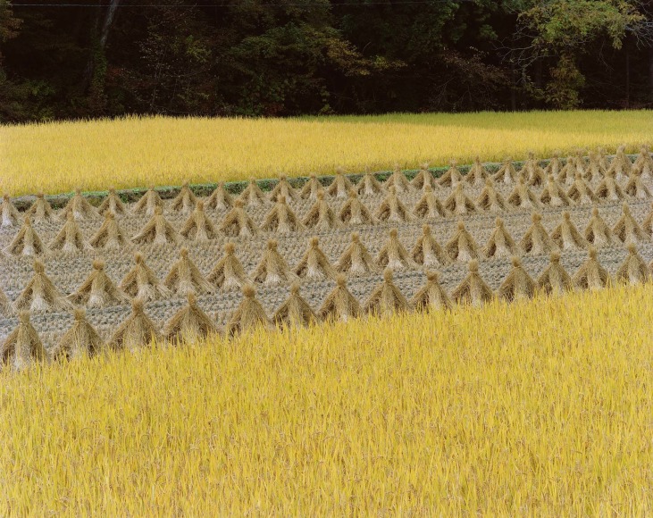 Karumai Town, Iwate Prefecture, 2018