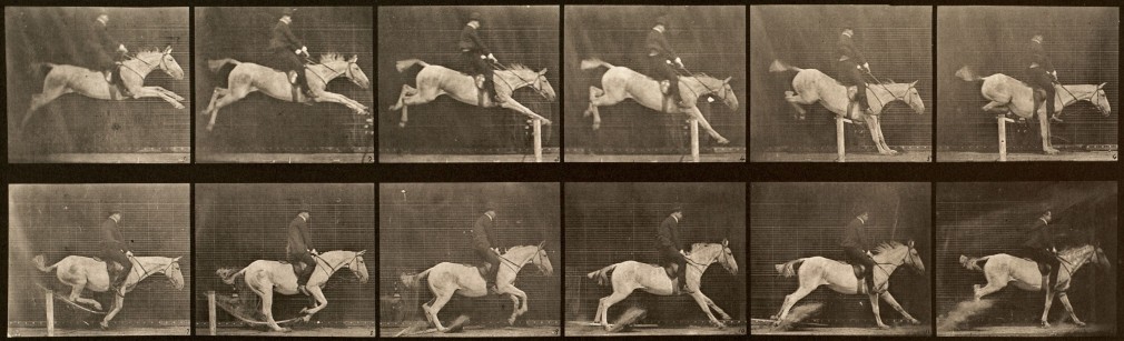 Sequence of black and white photos showing the movements of a horse and rider jumping a hurdle and knocking it over