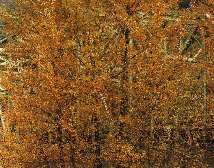 Toshio Shibata Clackamas County, OR 2004
