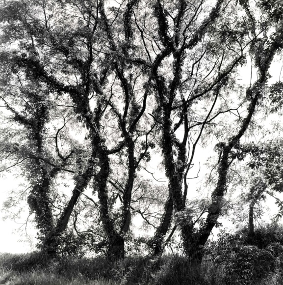 Ray Metzker, Ohio, 2001