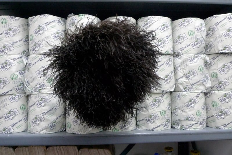 Christopher Rauschenberg Larry Gagosian Gallery Toilet Paper  2010