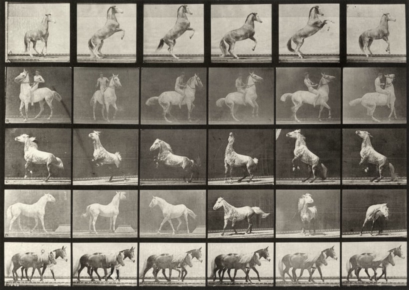 Eadweard Muybridge Plate 652