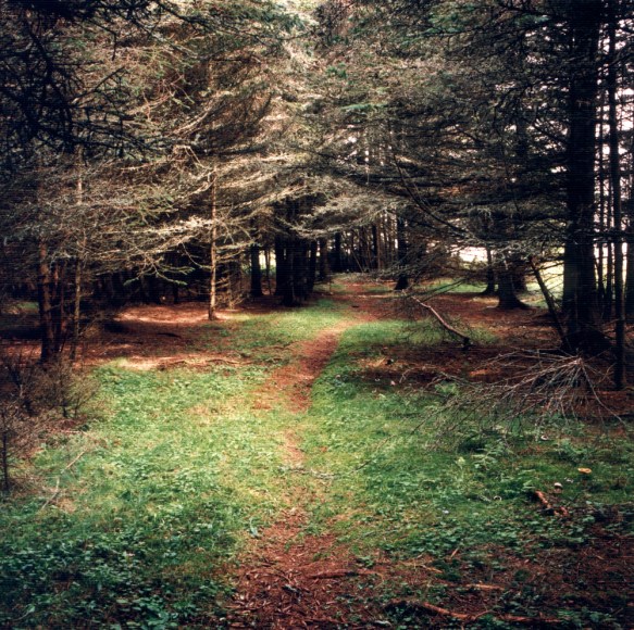 David Graham Path, Placentia Island, ME, 1995-96