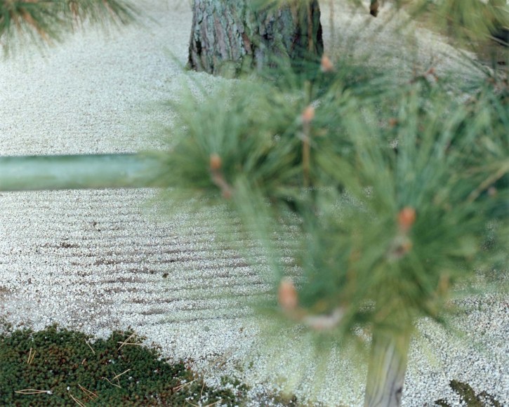Yoko Ikeda, Kyoto City, Kyoto Prefecture, 2012