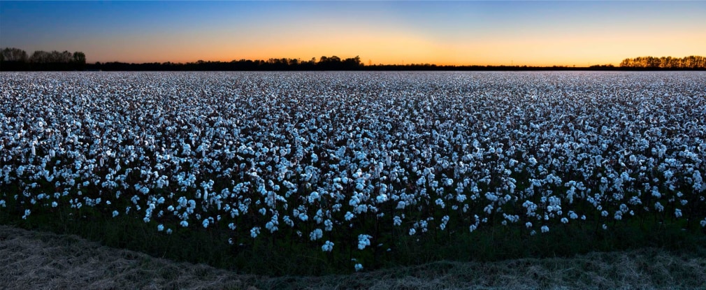 John Dowell Getting Ready