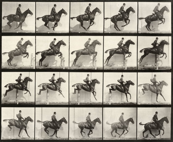 Eadweard Muybridge Plate 640