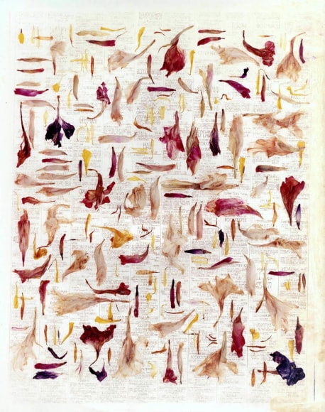 Bruce Wrighton Still Life