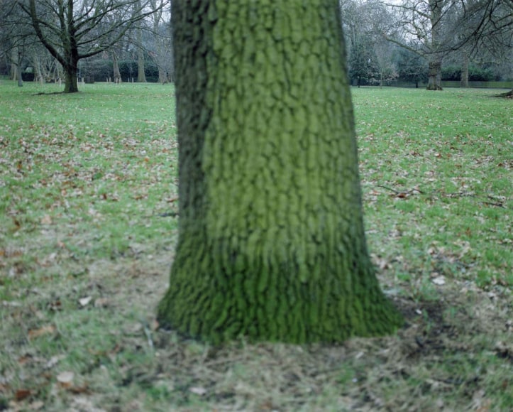 Yoko Ikeda, London, UK, 2018