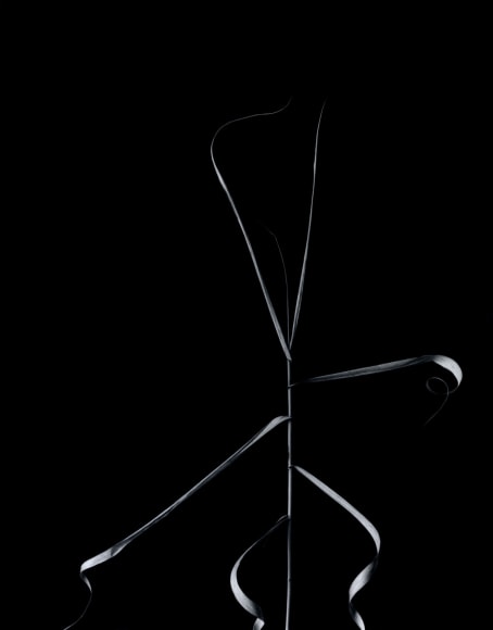 Harry Callahan Aix-en-Provence, France, 1958