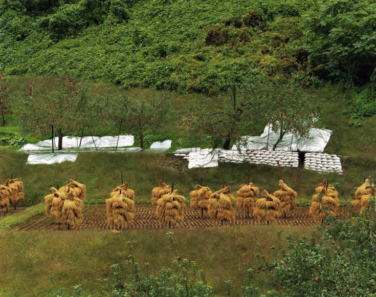 Toshio Shibata ​Kuroishi City, Aomori Prefecture, 2006