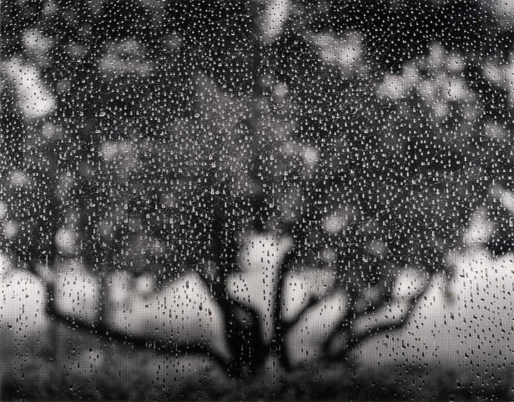 Ruth Bernhard N&ordm;2 Apple Tree