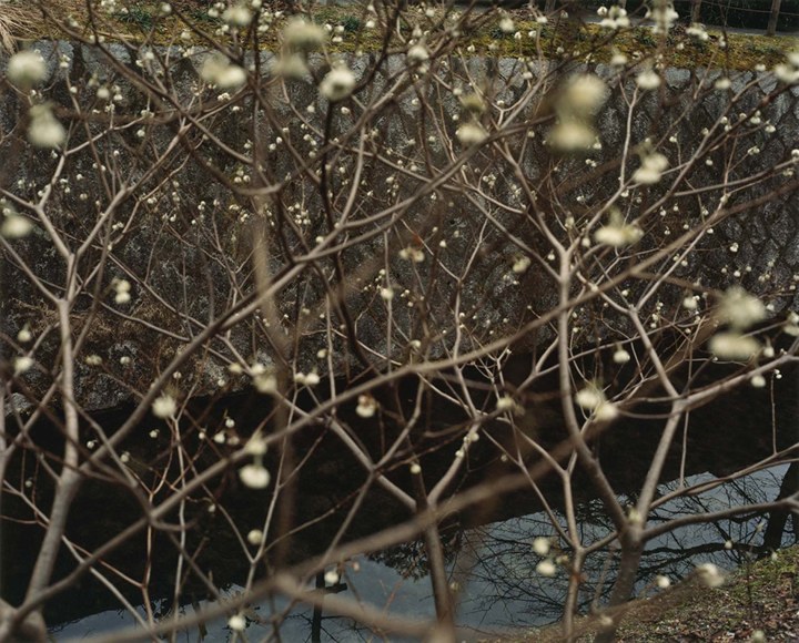 Yoko Ikeda, Kyoto City, Kyoto Prefecture, 2007