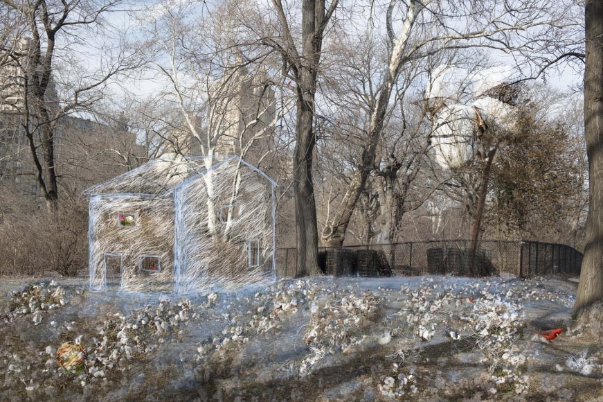 John Dowell ​First Pioneer