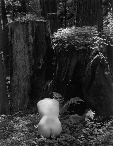 Barbara, 1958 vintage gelatin silver print