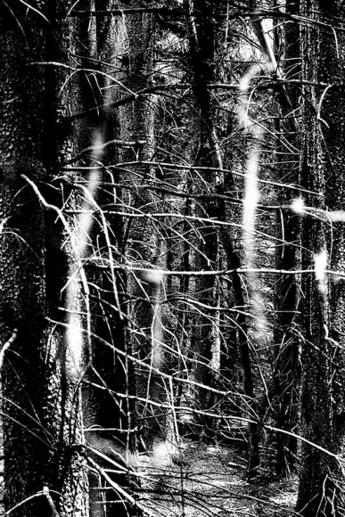 The Sky Inside XI, 2013