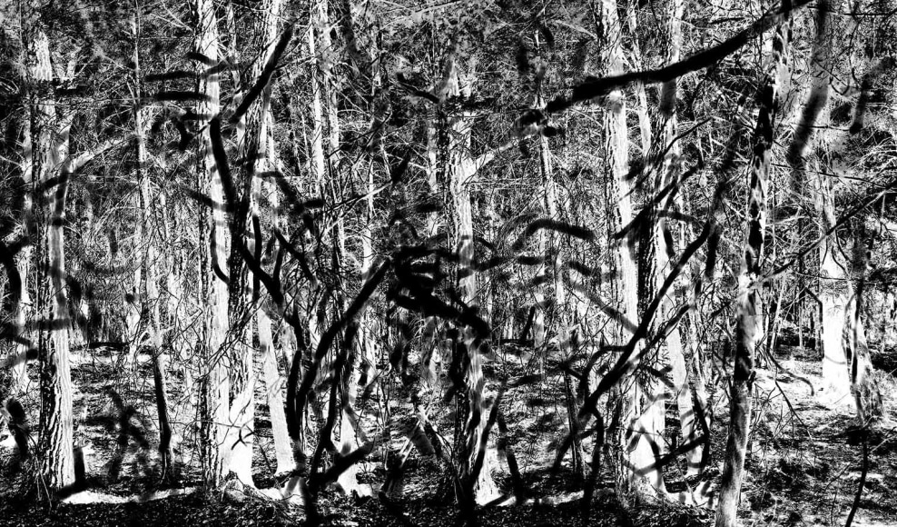 DoDo Jin Ming  Sky Inside II