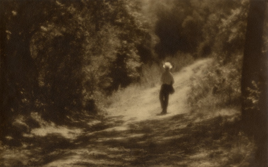 Warm toned black and white photo of a man in broad brimmed hat walking away on a sun dappled wooded path.