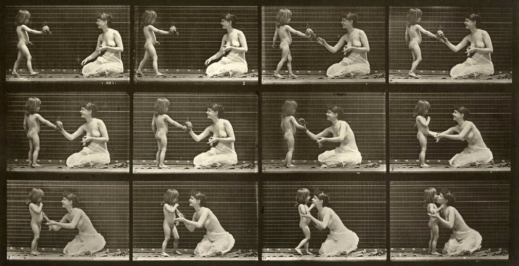 Eadweard Muybridge Plate 465