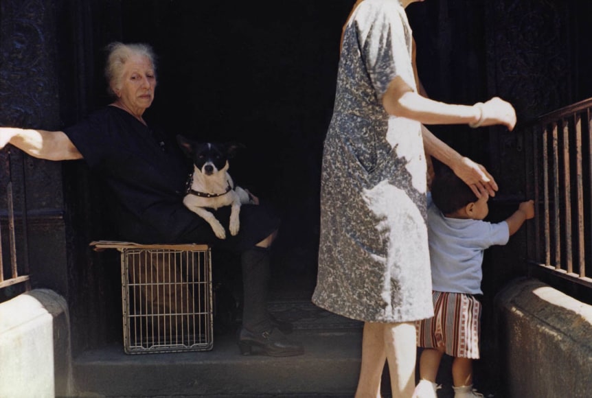 Helen Levitt New York City, 1972 (Old woman with dog&mdash;young child with mother looking through guard rails.)