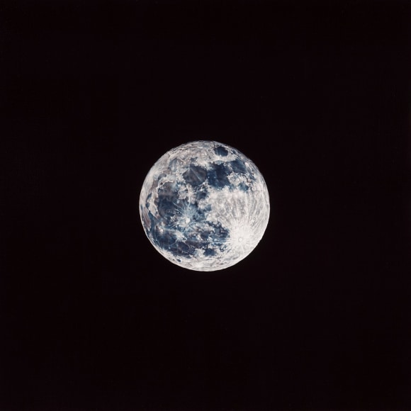 Damian Loeb, Tycho, 2013