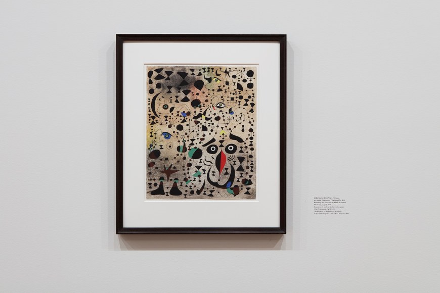 Installation view of Miro Constellations