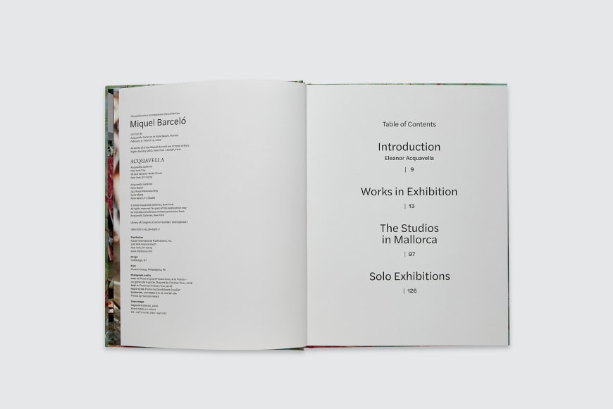 Miquel Barcel&oacute;