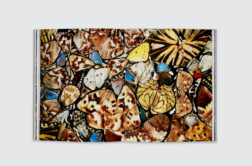 Jean Dubuffet &quot;Anticultural Positions&quot;